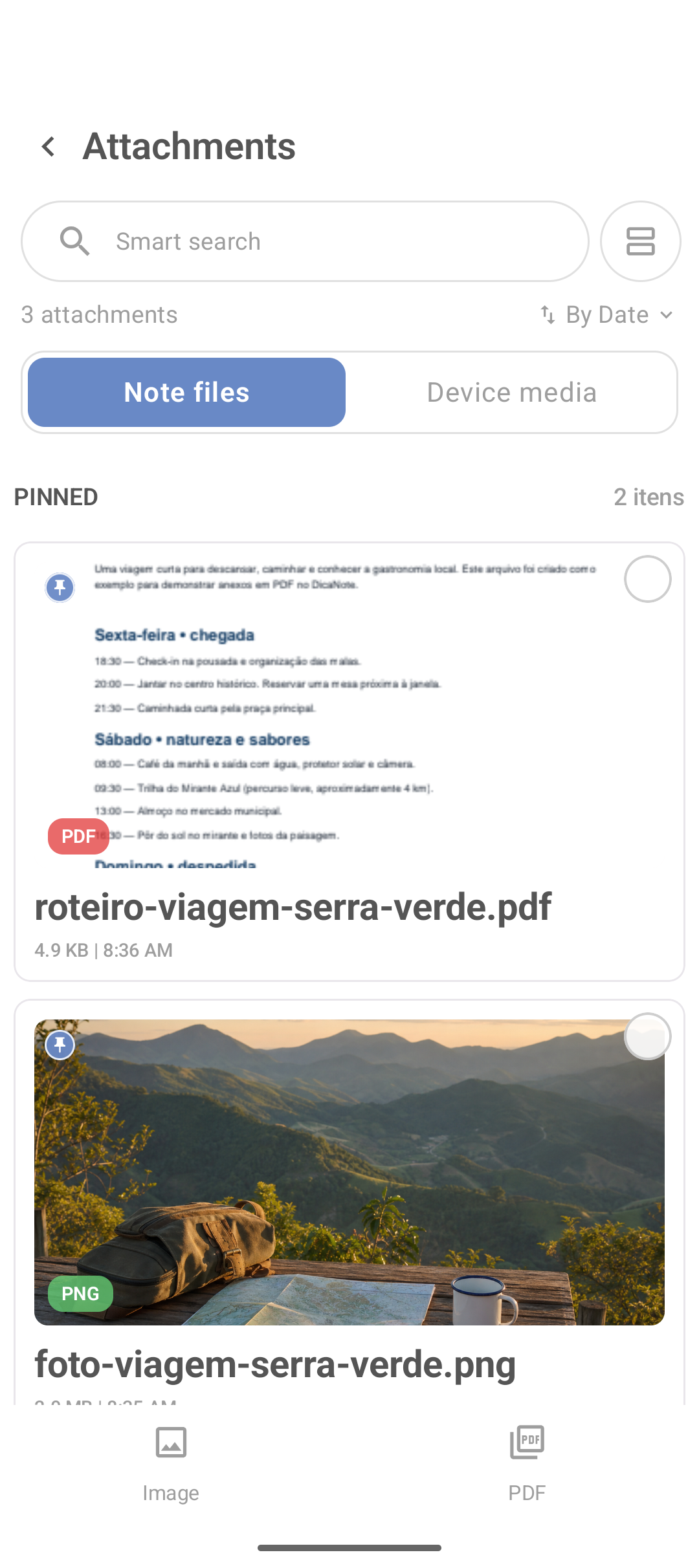 Tela de anexos do DicaNote com busca e abas de arquivos